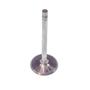 Melling Select Performance Intake Valve