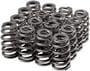 Melling Select Performance Valve Spring Kit