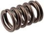 Melling Select Performance Valve Spring