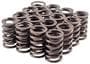 Melling Select Performance Valve Spring Kit