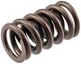 Melling Select Performance Valve Spring