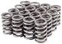 Melling Select Performance Valve Spring Kit