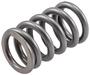 Melling Select Performance Valve Spring