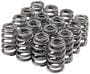 Melling Select Performance Valve Spring Kit