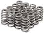 Melling Valve Spring Kit