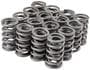 Melling Select Performance Valve Spring Kit
