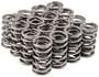 Melling Select Performance Valve Spring Kit