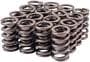 Melling Select Performance Valve Spring Kit