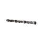 Melling Hydraulic Flat Tappet Camshaft