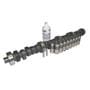 Melling Camshaft Lifter Kit