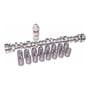 Melling Camshaft Valve Spring Kit