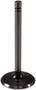 Melling Intake Valve