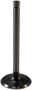 Melling Intake Valve