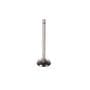 Melling Intake Valve