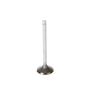 Melling Intake Valve