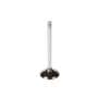 Melling Intake Valve