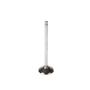 Melling Intake Valve