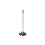 Melling Intake Valve