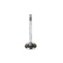 Melling Intake Valve