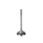 Melling Intake Valve