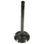 Melling Intake Valve