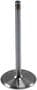 Melling Intake Valve