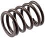 Melling Valve Spring