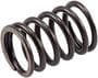 Melling Valve Spring