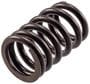 Melling Valve Spring