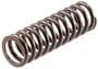 Melling Valve Spring