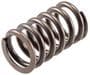 Melling Valve Spring