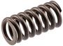 Melling Valve Spring