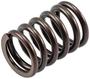 Melling Valve Spring