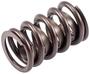 Melling Valve Spring