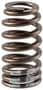Melling Valve Spring