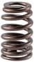 Melling Valve Spring