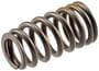 Melling Valve Spring