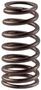 Melling Valve Spring