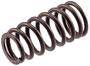 Melling Valve Spring