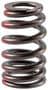 Melling Valve Spring