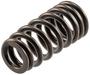 Melling Valve Spring