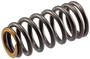 Melling Valve Spring