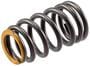 Melling Valve Spring