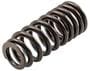 Melling Valve Spring
