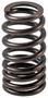 Melling Valve Spring