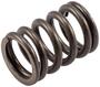 Melling Valve Spring