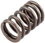 Melling Valve Spring