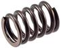 Melling Valve Spring