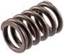 Melling Valve Spring