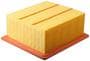 MicroGard Panel Air Filter